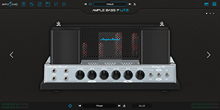 AMP Sim