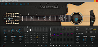 AG12 Strummer Panel