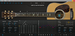 AGM Strummer Panel